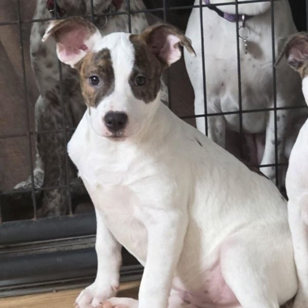 Einstein thumbnail 2