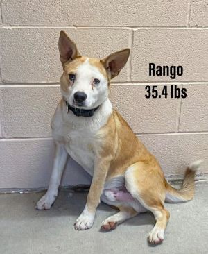 Rango