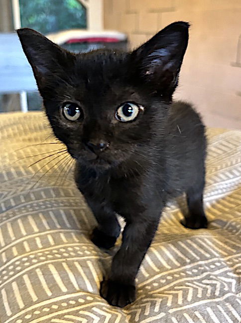 Bruce Wayne thumbnail 2