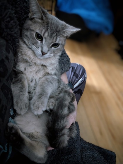 Wednesday (Collier rouge)