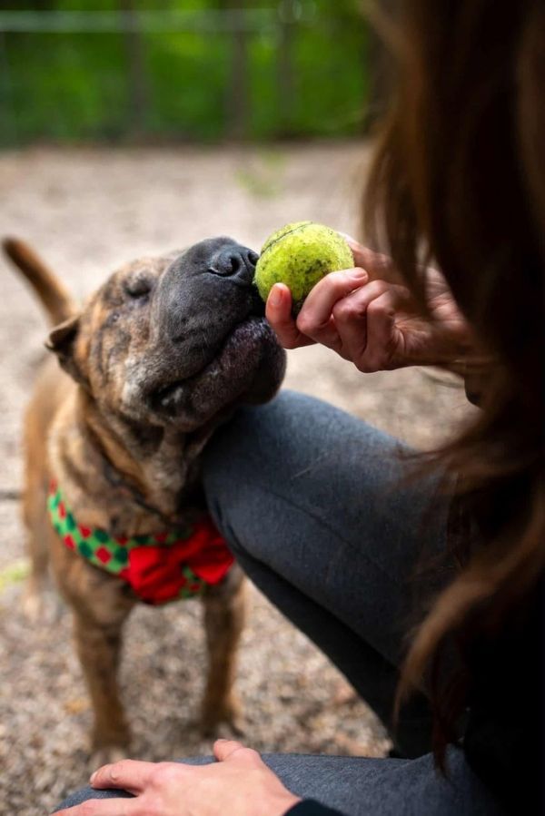 Charlie Chaplin thumbnail 4