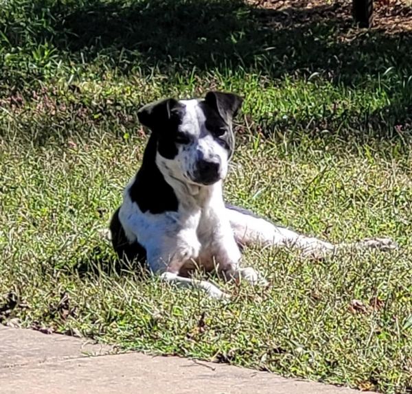 Coraline thumbnail 6