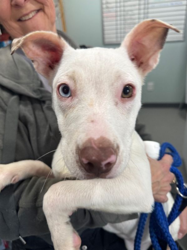 Little Baby thumbnail 2