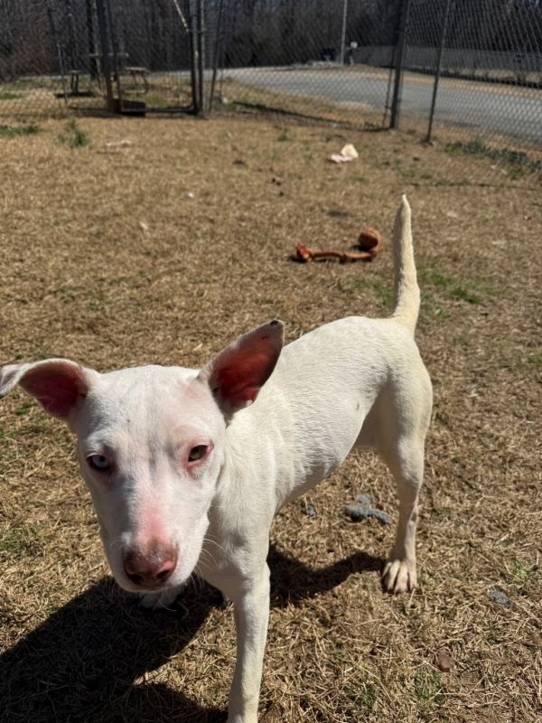 Little Baby thumbnail 4