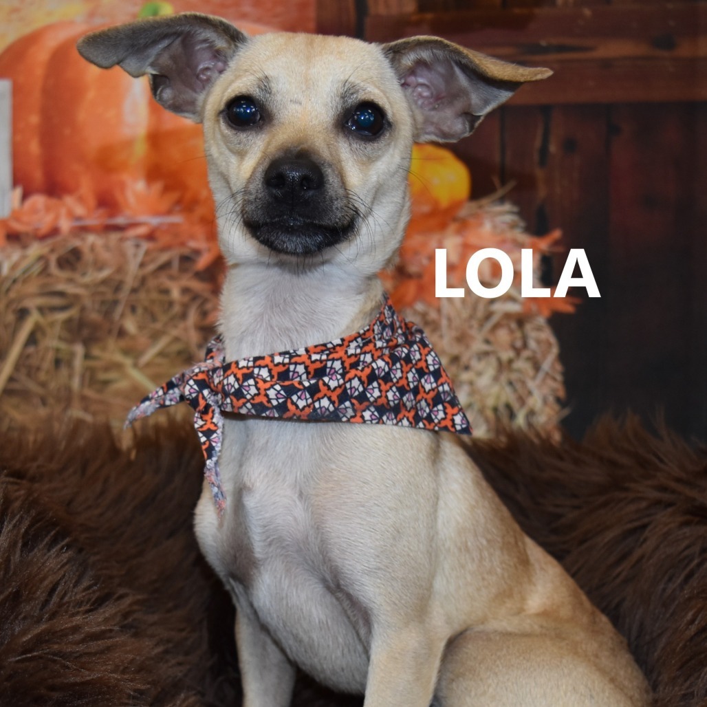 Lola