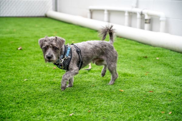 Rocky Road thumbnail 2