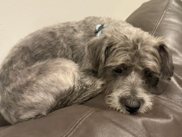 Rocky Road thumbnail 3