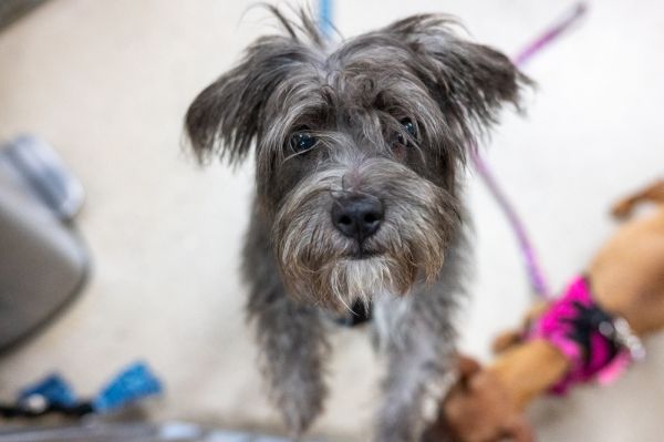 Rocky Road thumbnail 4