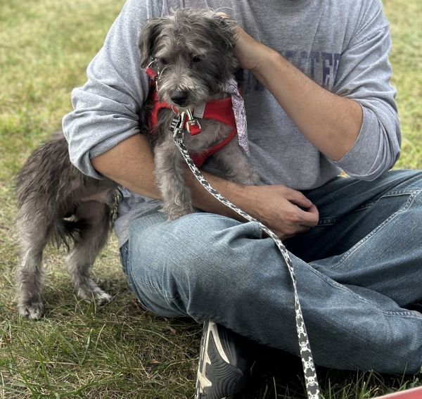 Rocky Road thumbnail 5