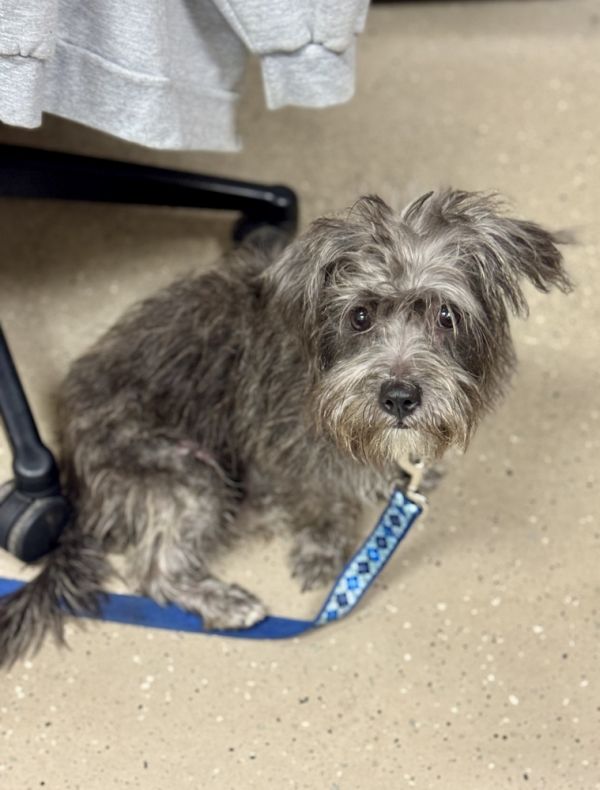 Rocky Road thumbnail 6