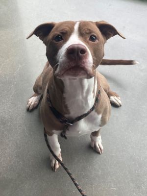 Kate/Jamaica (mom of Kx9)