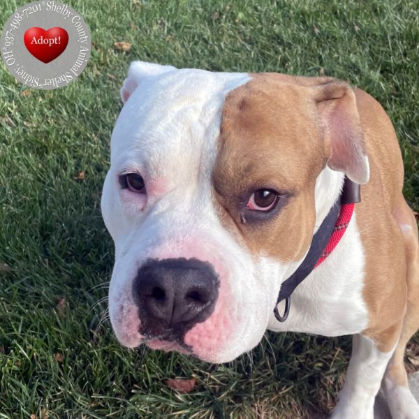 Maximum Yrly thumbnail 2