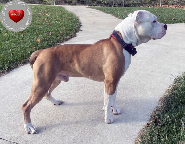 Maximum Yrly thumbnail 3