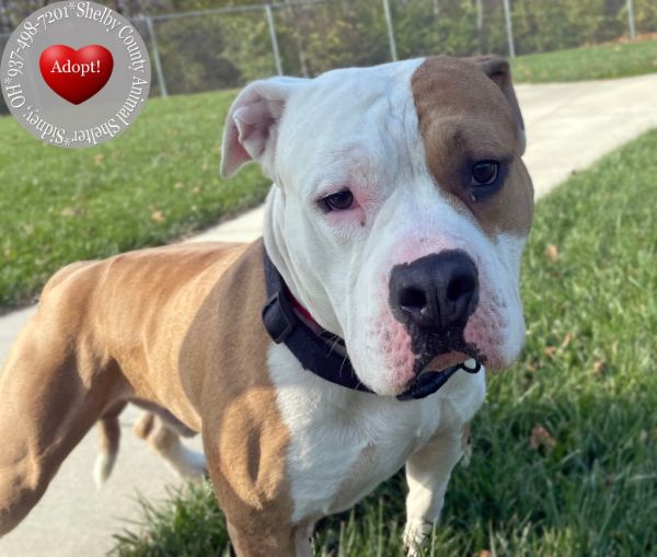 Maximum Yrly thumbnail 4