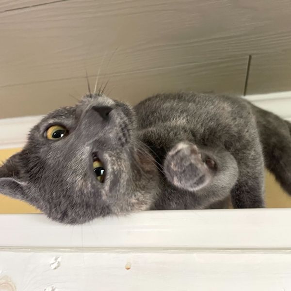 Smokey Eye thumbnail 2