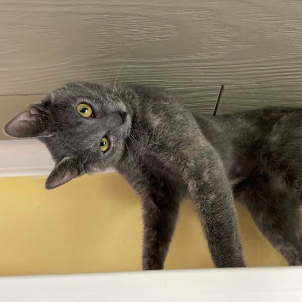 Smokey Eye thumbnail 4