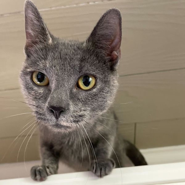 Smokey Eye thumbnail 5