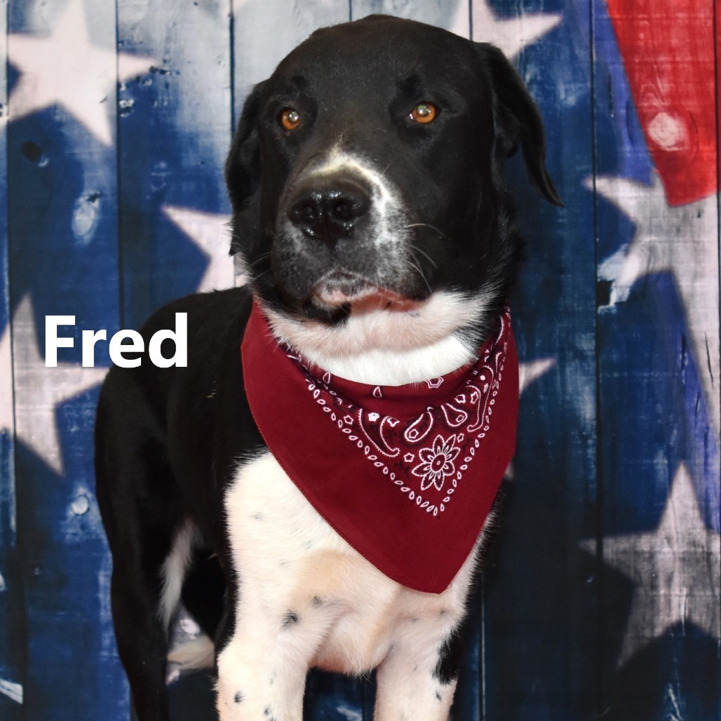 Fred