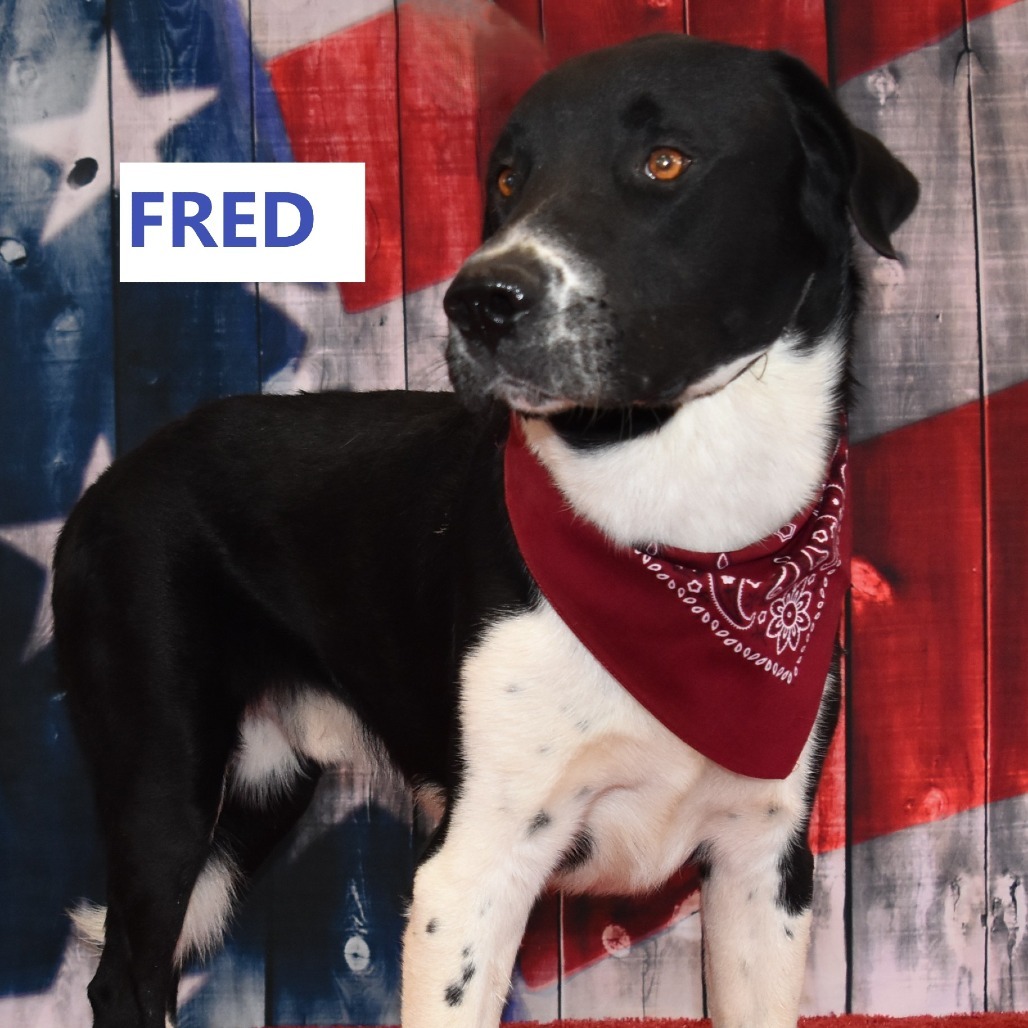 Fred