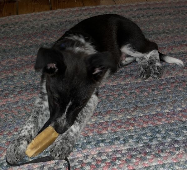 Choco Hershey thumbnail 2