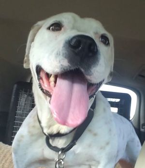 Willamena **Home for the Holidays 1/2 price!