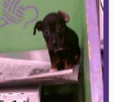 Nightmare Before Christmas