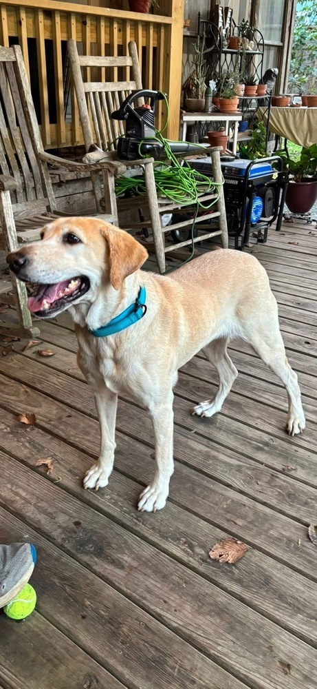 Teubert  Bailey thumbnail 3