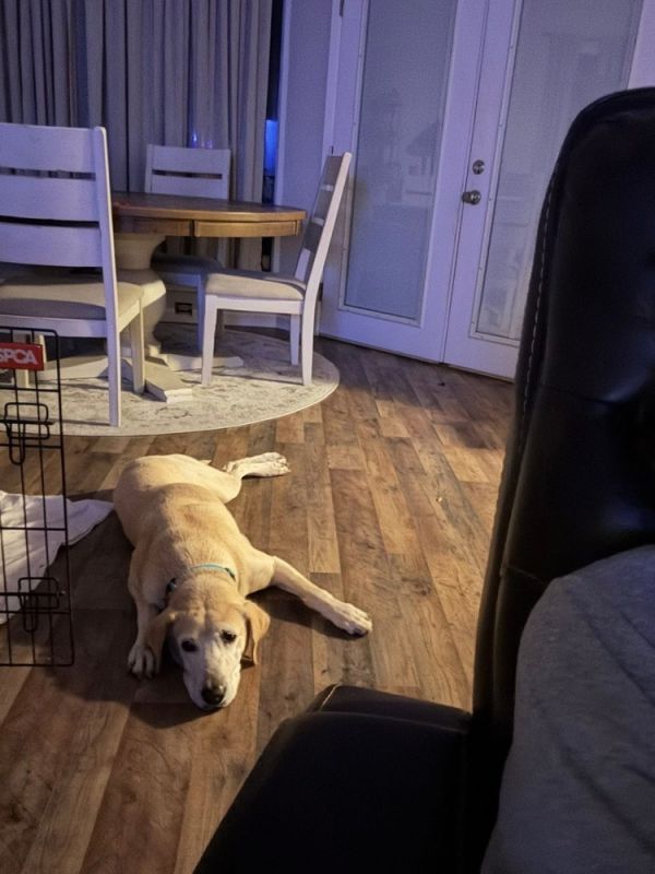 Teubert  Bailey thumbnail 4