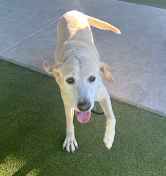 Teubert  Bailey thumbnail 5