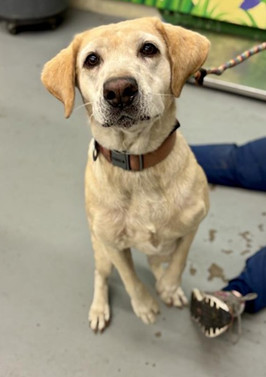 Teubert  Bailey thumbnail 6