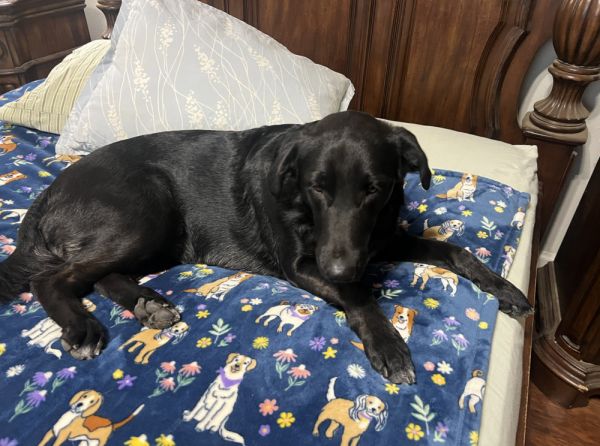 Tezikov  Kay thumbnail 3