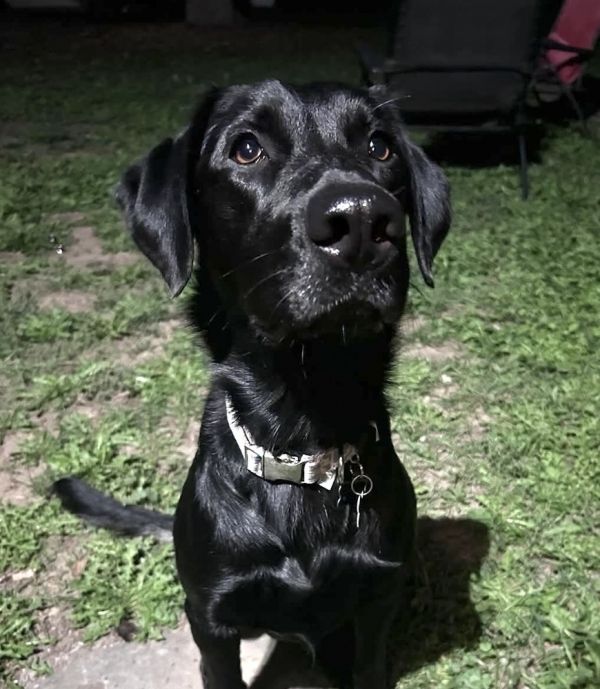 Tezikov  Kay thumbnail 4