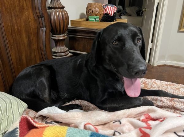 Tezikov  Kay thumbnail 5