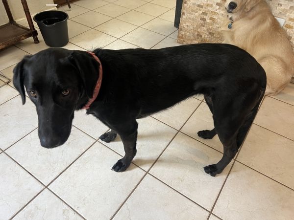 Tezikov  Kay thumbnail 6