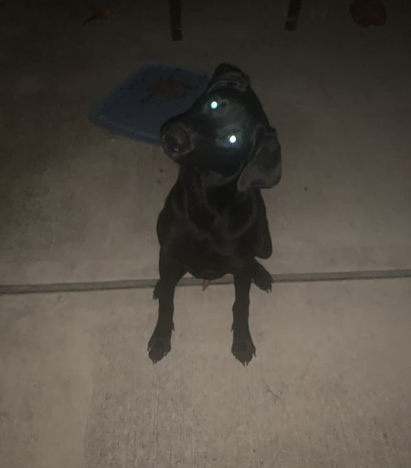 Theberge  Max thumbnail 2