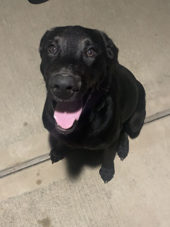 Theberge  Max thumbnail 3