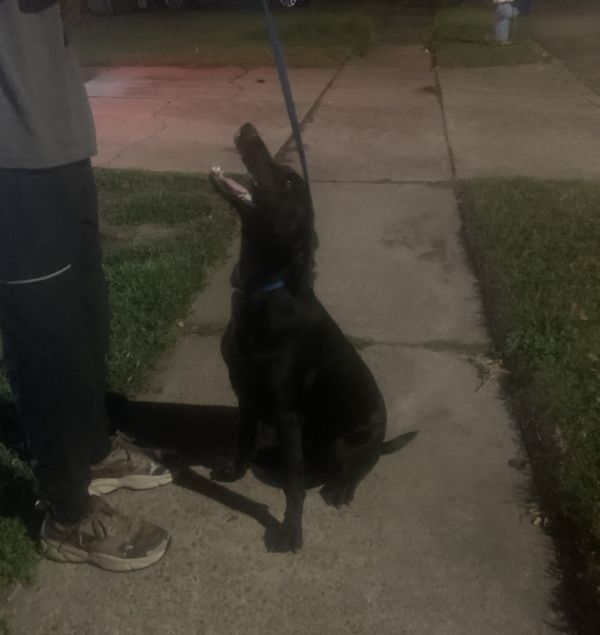 Theberge  Max thumbnail 4