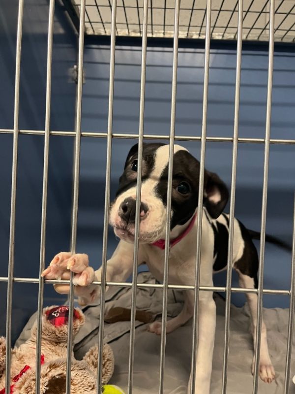 Fiona Gallagher thumbnail 2