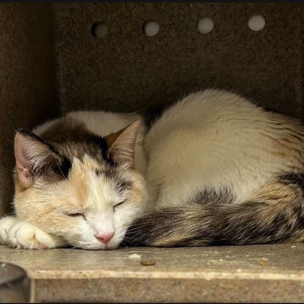 Aleaha Naylor thumbnail 2