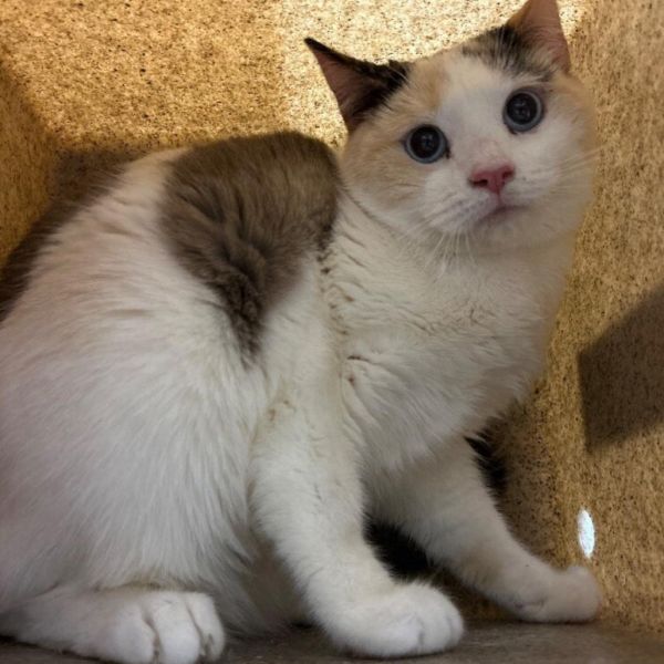 Aleaha Naylor thumbnail 3