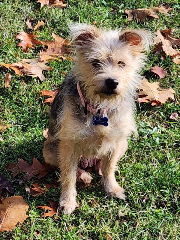 Cutie Pie thumbnail 2