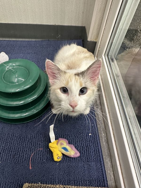 Patricia thumbnail 2