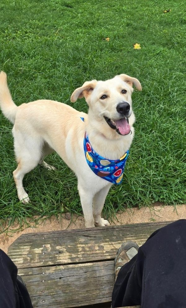 Hamilton thumbnail 2