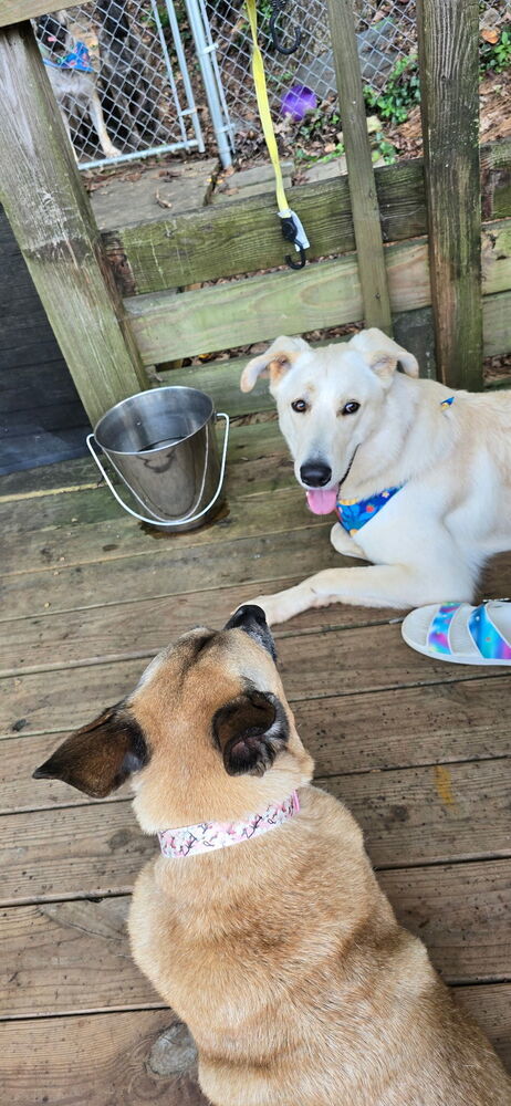 Hamilton thumbnail 5