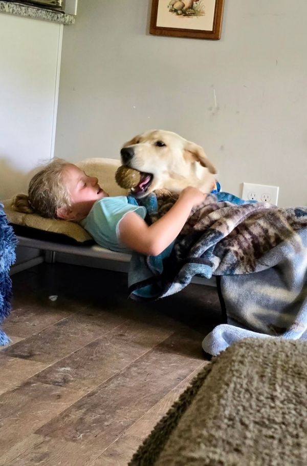 Hamilton thumbnail 6