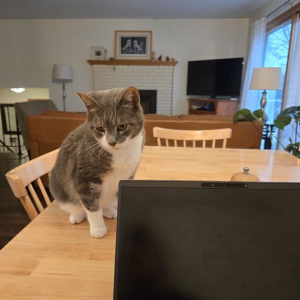 Einstein thumbnail 2