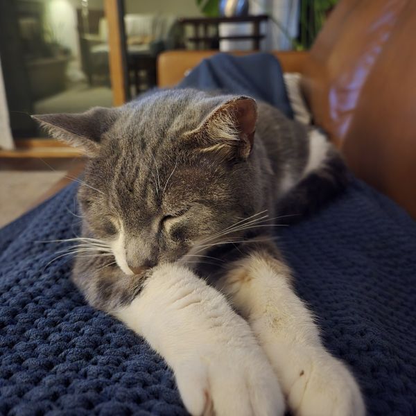 Einstein thumbnail 5