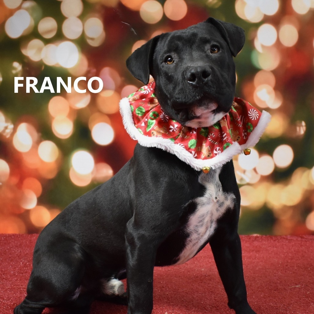 Franco