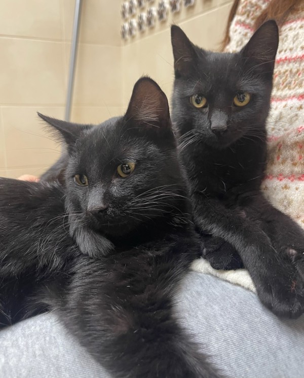 Dennis &amp; Dee thumbnail 2