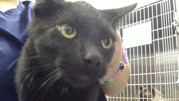 Dennis &amp; Dee thumbnail 4